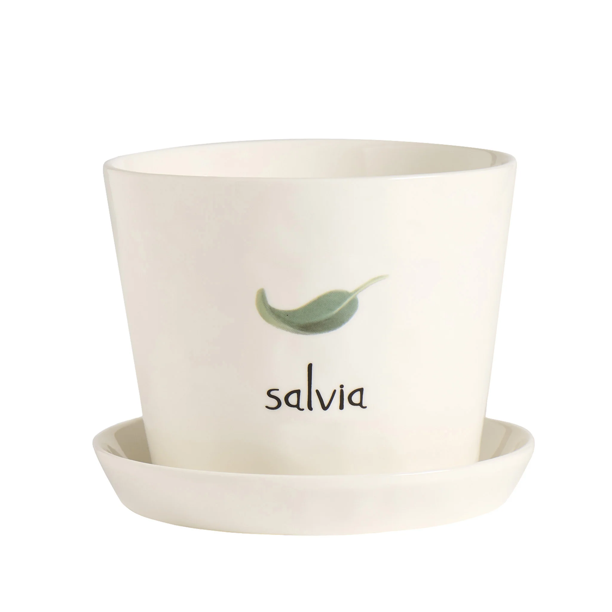 Vaso Salvia, con sottovaso - Image 2